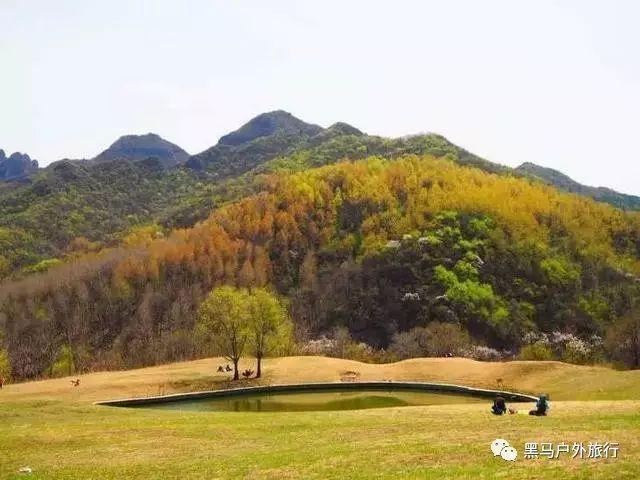 芭比大学毕业